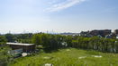 ilmred/e0870ab0712733ee7c56fffc059fcd8b.jpg?width=131&height=105&format3=webp
