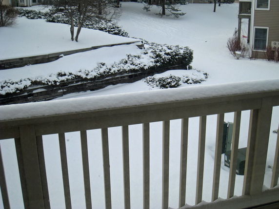 Snow-covered landscape viewed from a building, showing a railing, trees, and nearby houses.