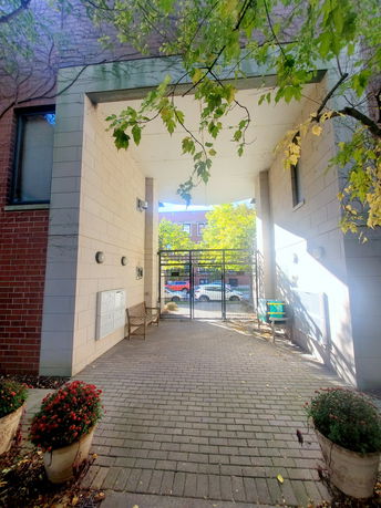 Building Images