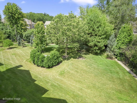 View from a building showing a grassy area with trees and shrubs.
