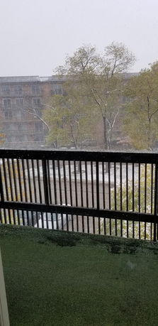 View from a balcony looking out towards a building and trees in snowy weather.