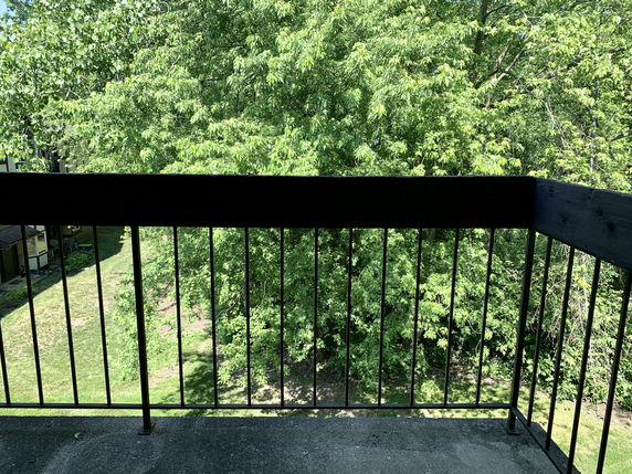 Balcony view with black railing overlooking trees and lawn.