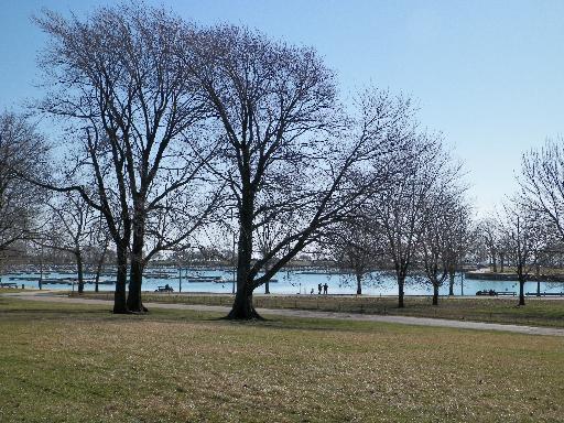 View of trees and a distant water body.