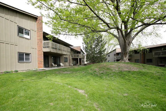 Front view of an apartment building with balconies and a large tree in front.