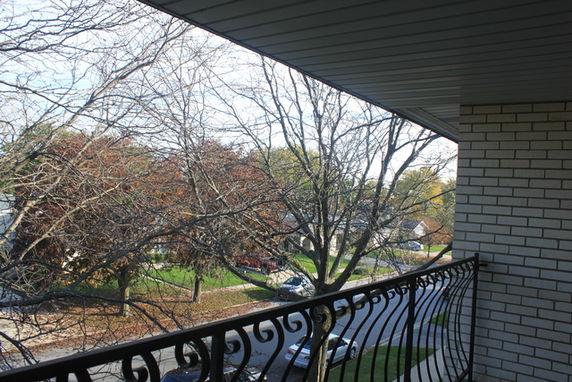 View of a street with trees seen from a building balcony.