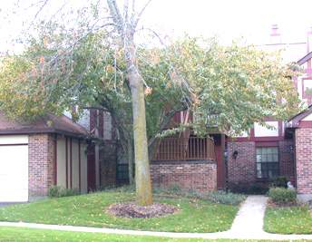 Front view of a house with brick exterior and attached garage.