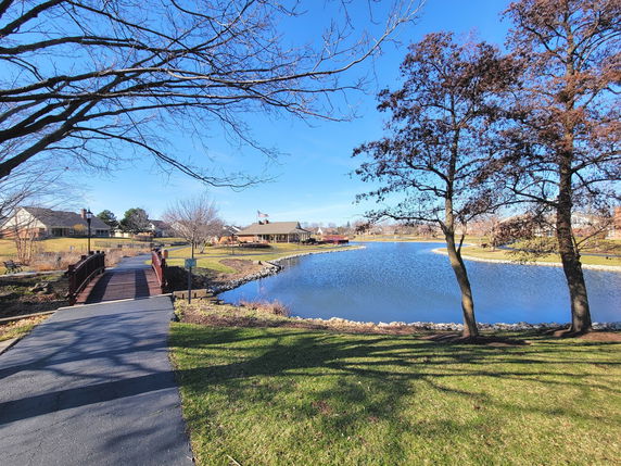 View of a serene lake with a wooden bridge and surrounding park area.