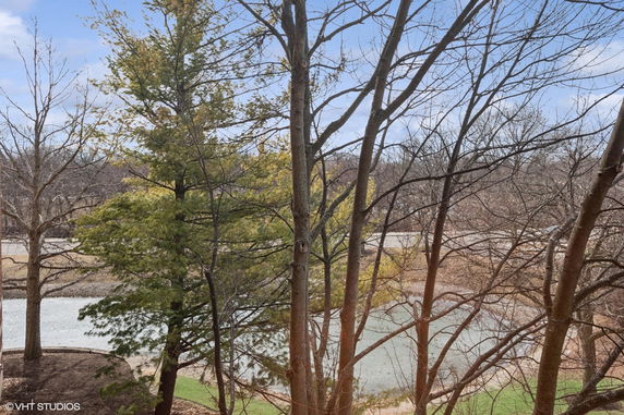 View of trees and a small body of water in a natural outdoor setting.