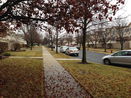 ilmred/ef9eb1ec0ac3561cbb3ae107b683bafc.jpg?width=131&height=105&format3=webp