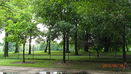 ilmred/f03cb92f1f7c0e68fe65f69b3a6d7869.jpg?width=131&height=105&format3=webp