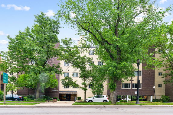 Front view of a multi-story building with a mixed brick facade and large trees in front.