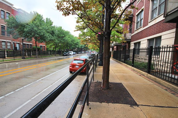 Street view with trees, parked cars, and buildings on a rainy day.