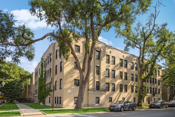 Front view of a multi-story brick apartment building with trees surrounding it.