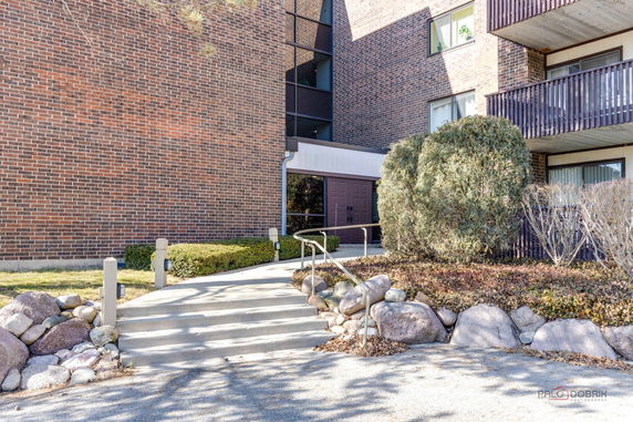 Front view of a brick building entrance with bushes and a stone pathway.