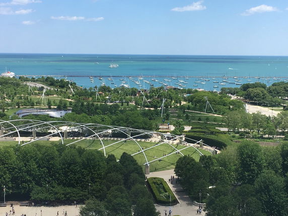 Panoramic view of a marina with numerous boats and a surrounding park area.