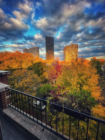 Panoramic view of urban skyline with tall buildings and autumn trees.