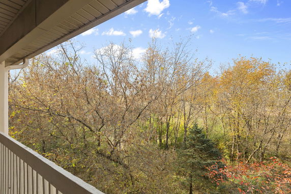Panoramic view of the surrounding woodland area from a building's balcony.