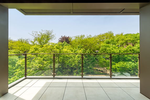 Panoramic view from a balcony overlooking lush green trees.