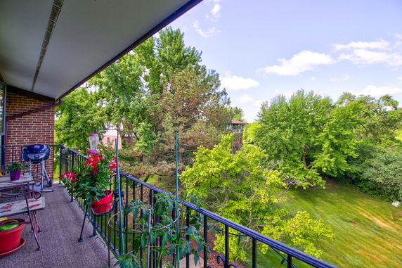 View of trees and landscaping from a building balcony.