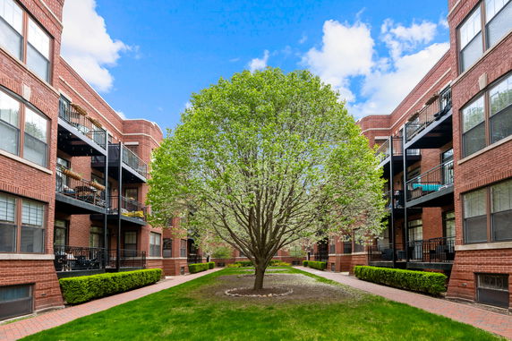 Front view of a tree-lined courtyard between brick apartment buildings
