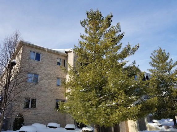 Front view of a multi-story brick building with icicles hanging from the roof.