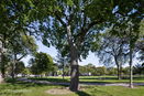 ilmred/fe7e6304585405eaa48e1cef467d6512.jpg?width=131&height=105&format3=webp