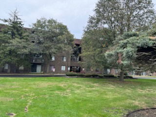 Front view of a multi-story brick building with several windows and surrounded by trees.