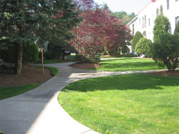 Building image