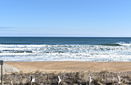 mamlspin/087fb4ddec73aaac4cbe629d9c637af6.jpg?width=131&height=105&format3=webp
