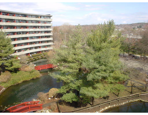 Community Image