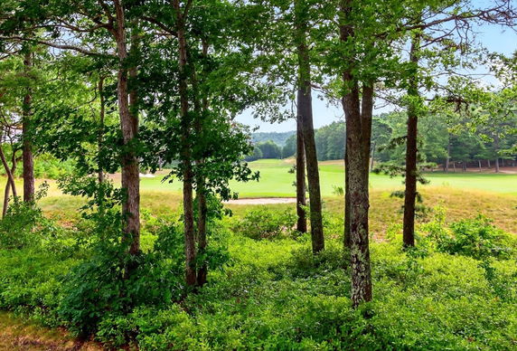 Community Image