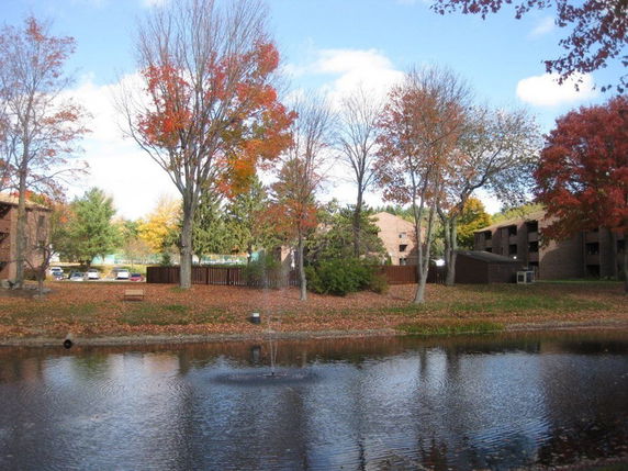 Building image