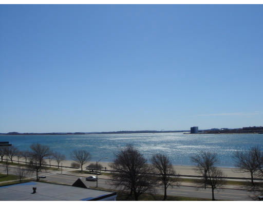 Panoramic view of a large body of water with trees and a walkway along the shore.