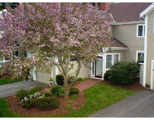 Front view of a two-story house with a visible entrance and a prominent tree in front.