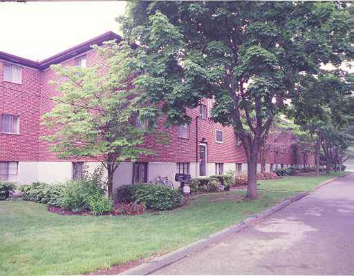 Building Images