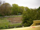 mamlspin/172d8c07fdb8d9c3c6e08b6dd855577f.jpg?width=131&height=105&format3=webp