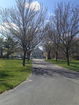 mamlspin/18ba58def07c2992c240268f5cf2b8cc.jpg?width=131&height=105&format3=webp