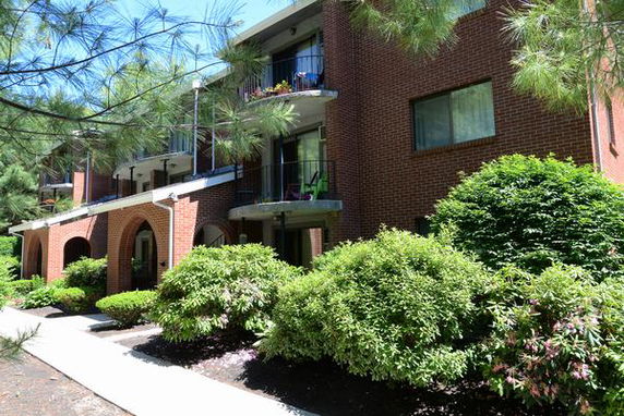 Building image