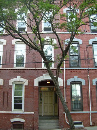 Building Images