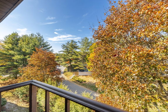 View from a balcony overlooking trees with autumn foliage and a road in the background.