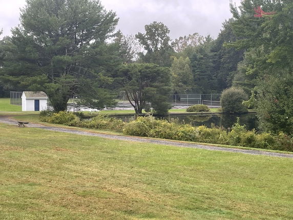 View of an outdoor tennis court surrounded by greenery and trees.