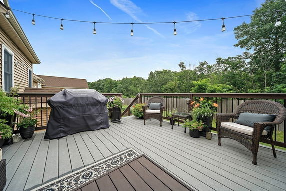 Rooftop patio with a grill, seating area, and decorative plants.