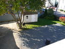mamlspin/24429cb7b6e753085ef761916491cc2c.jpg?width=131&height=105&format3=webp