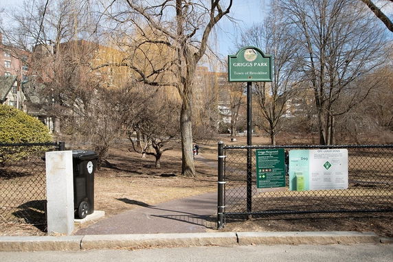 Community Image