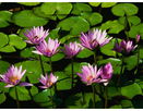 mamlspin/28cc5ccf1adc09413ec057930701a3ad.jpg?width=131&height=105&format3=webp