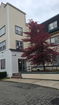 mamlspin/2b00a3796999078d308ca9f12852aee9.jpg?width=131&height=105&format3=webp