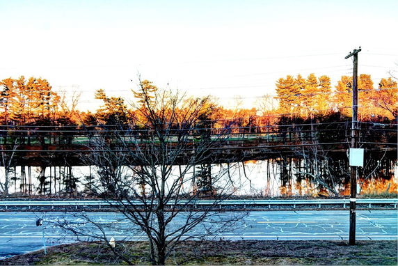 Wide-angle view of a landscape with trees and a body of water visible from a higher vantage point.