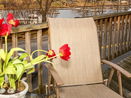 mamlspin/316345a988739c665fecf07aa3e64ca4.jpg?width=131&height=105&format3=webp