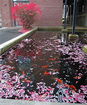 mamlspin/394872dac788a03fb228d70d8f0f5aa8.jpg?width=131&height=105&format3=webp