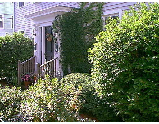 Front view of a house with plants growing around the entrance.